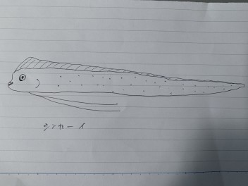 かまちゃんねる　特別編